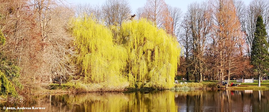 Herzogenriedpark Mannheim im März 2022