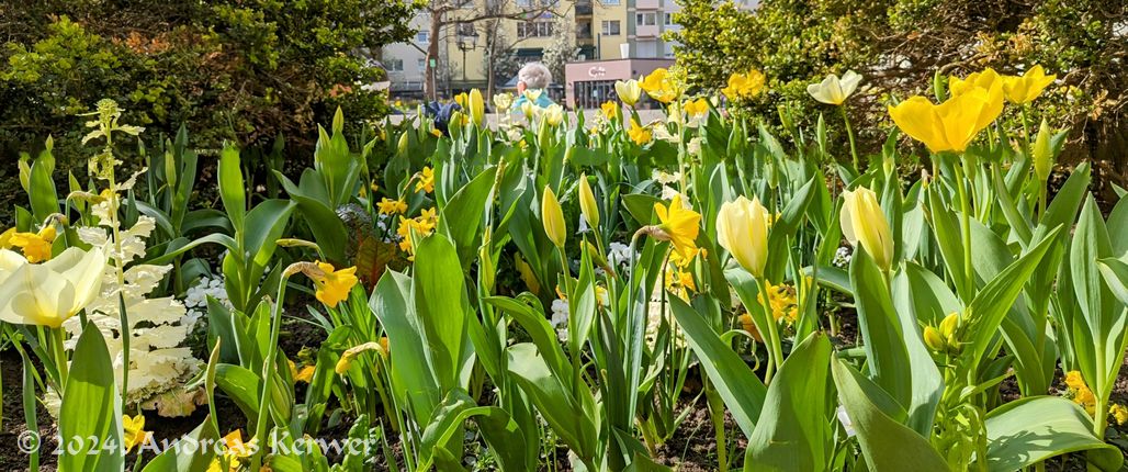 Frankenthal im März 2024