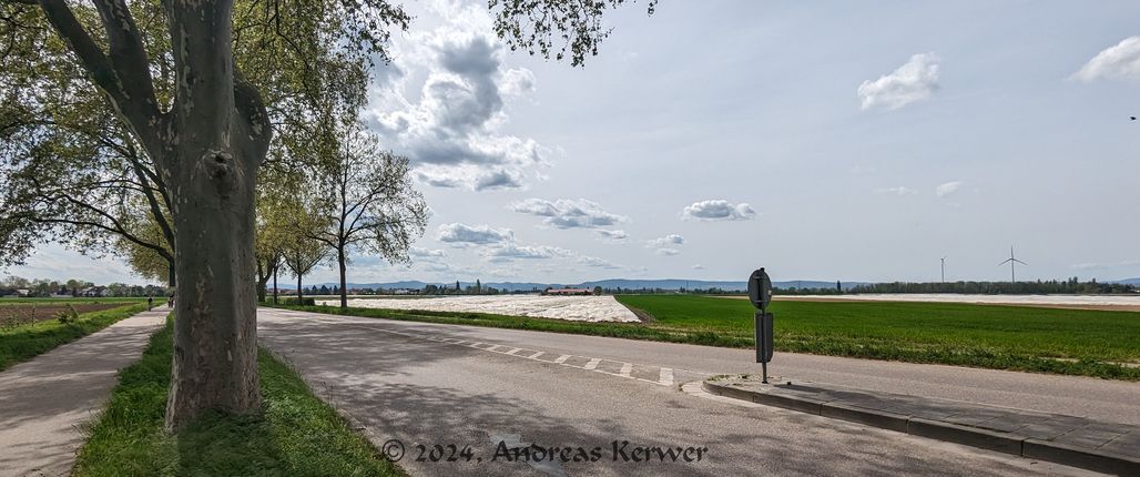 Frankenthal im April 2024